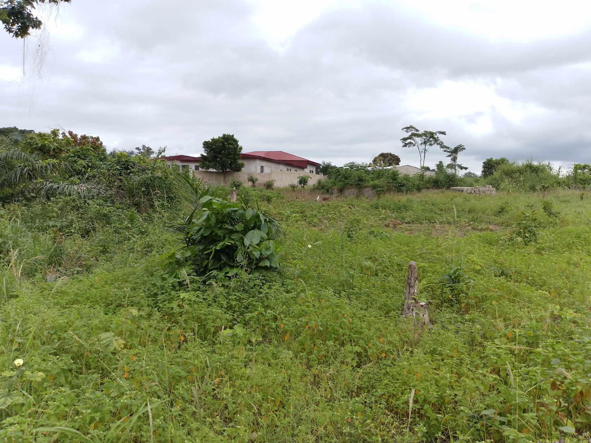 Terrain à vendre DaloaTerrain de 500 m² SAPIAOpportunité immobilière DaloaBeau Trésor BTPImmobilier à Daloa