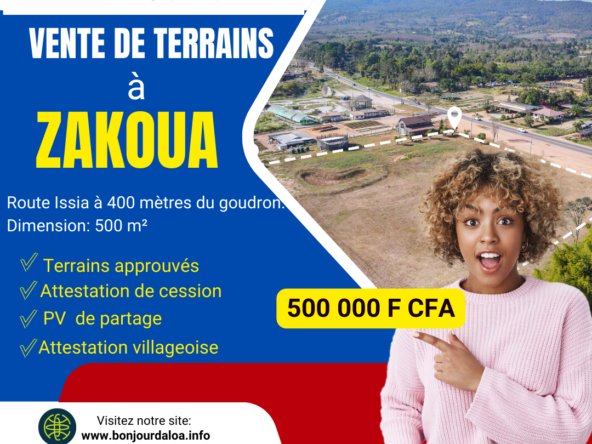 Terrain à vendre Daloa Zakoua