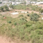 Vente 11 terrains viabilisés à Daloa Gbokora, 600 m² prêts à construire sur la route de Vavoua.