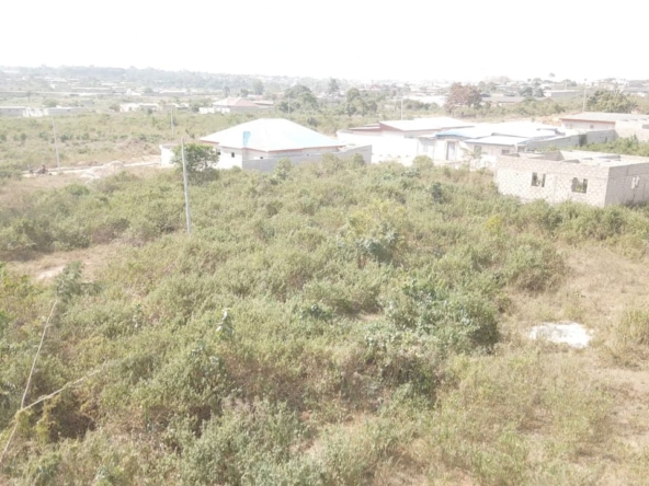 Terrain à vendre à GOGOGUHE EXTENSION, Daloa – 550 m² en bordure de la route d’Abidjan, avec accès direct à l’eau et à l’électricité, parfait pour vos projets immobiliers