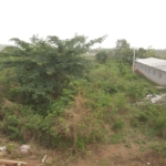 Terrain approuvé de 600 m² à vendre à Balouzon, viabilisé avec accès à l'eau et à l'électricité