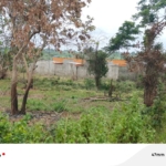 Terrain à vendre DaloaAchat terrain Daloa Sapia NordTerrain 500 m² DaloaInvestissement immobilier DaloaTerrain Sapia Nord à vendreTerrain axe AbidjanVente terrain DaloaPropriétés à vendre DaloaOpportunité immobilière DaloaConstructible Daloa Sapia Nord