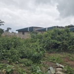 Terrains à vendre DaloaSapia DaloaInvestissement immobilier DaloaAchat terrain DaloaConstruire maison DaloaOpportunité immobilière SapiaQuartier en expansion DaloaBeau Trésor BTPPropriétaire terrain DaloaInvestissement sûr immobilier