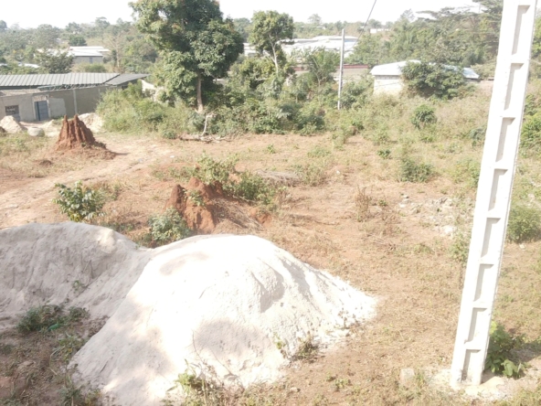 Terrain à vendre Zaguigia2. Terrain à vendre Daloa3. Investir à Daloa4. Immobilier à Daloa5. Terrain de 600 m² Daloa6. Opportunité immobilière Daloa7. Terrain pas cher Daloa8. Terrain sécurisé à Daloa9. Achat terrain Daloa10. Investissement immobilier Daloa11. Terrain Zaguigia à vendre12. Terrain avec documents légaux Daloa13. Terrain à vendre dans le quartier Zaguigia14. Vente de terrain Daloa15. Acheter un terrain à Zaguigia16. Opportunité terrain Daloa17. Terrain constructible Daloa18. Vente terrain Zaguigia Daloa19. Terrain à prix réduit Daloa20. Investir dans l'immobilier à Daloa